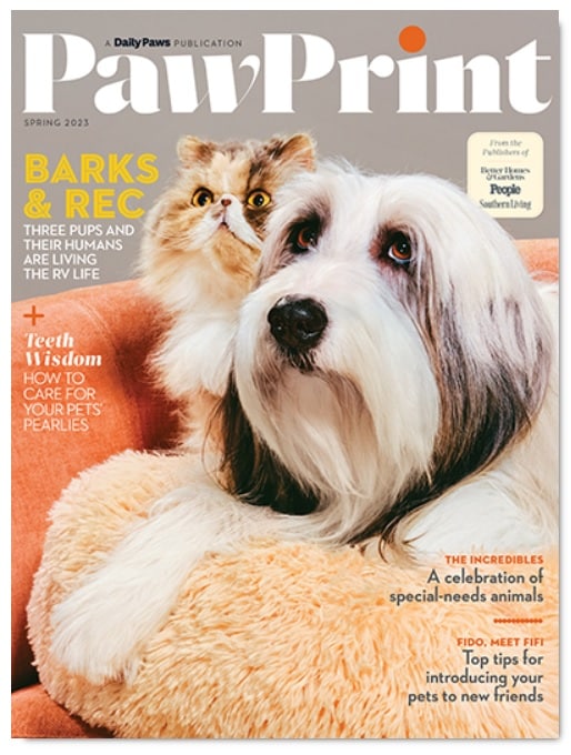 FREE PawPrint Magazine Issues