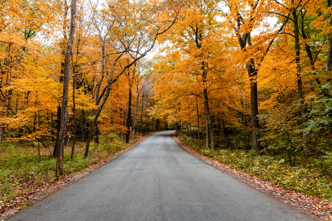 How to Cut Costs on Fall Travel