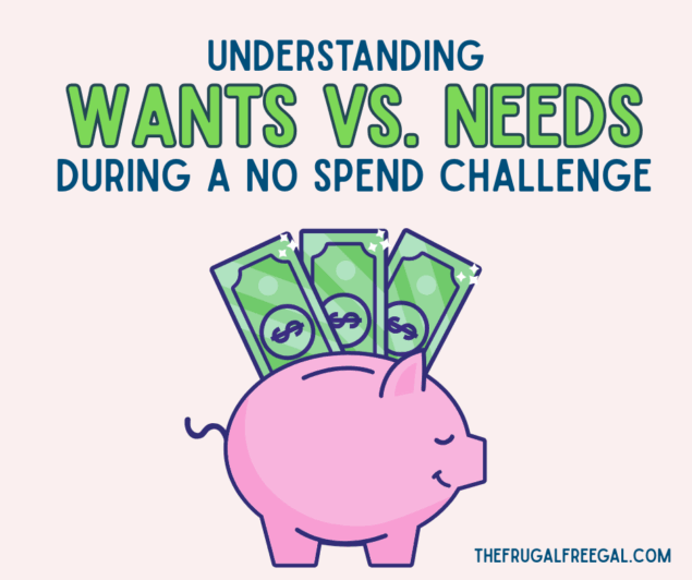 Understanding Wants vs. Needs During a No Spend Challenge