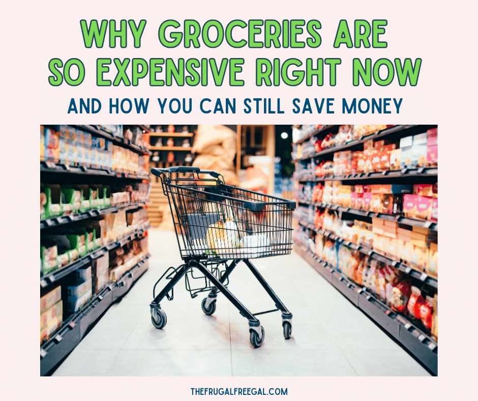 Why Groceries Are So Expensive Right Now (And How Families Can Still Save Money)