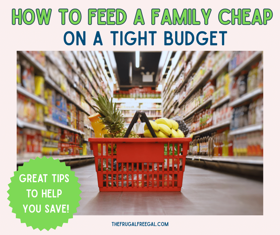 How to Feed a Family Cheap on a Tight Budget